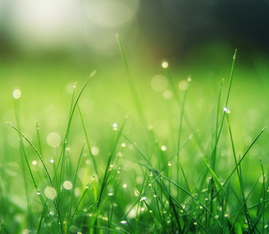 節氣已來到春末的 #穀雨