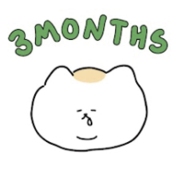 韓國原創-3 MONTH